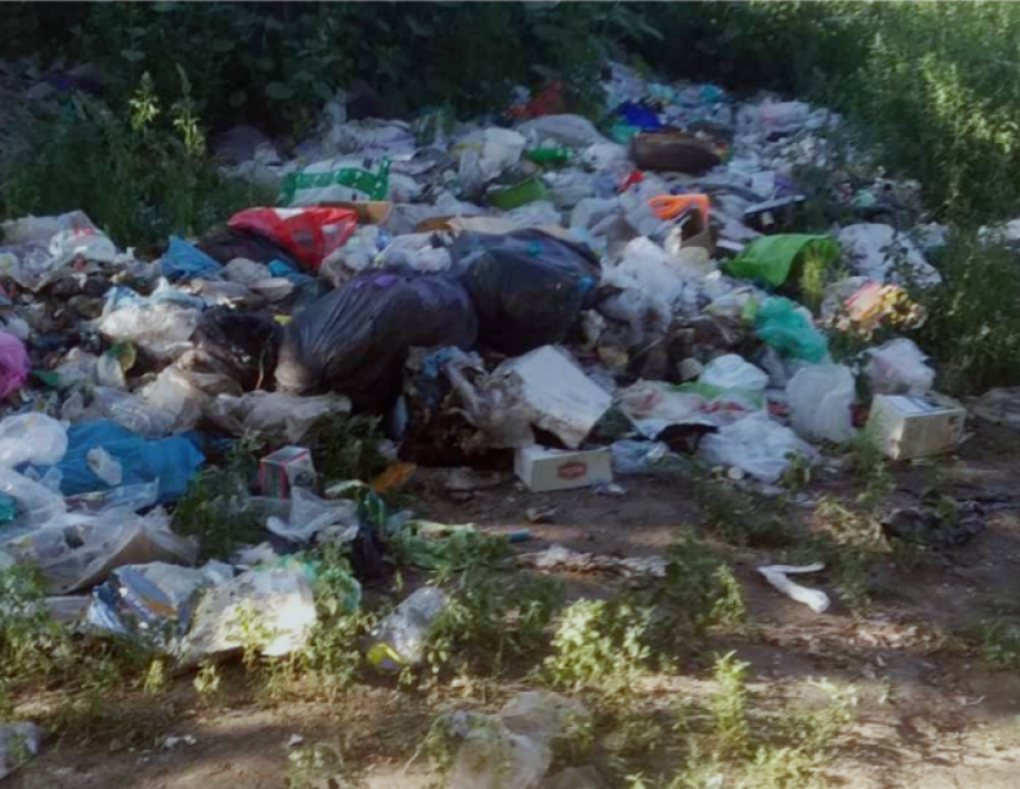 У Хмільницькому районі виявили незаконне звалище