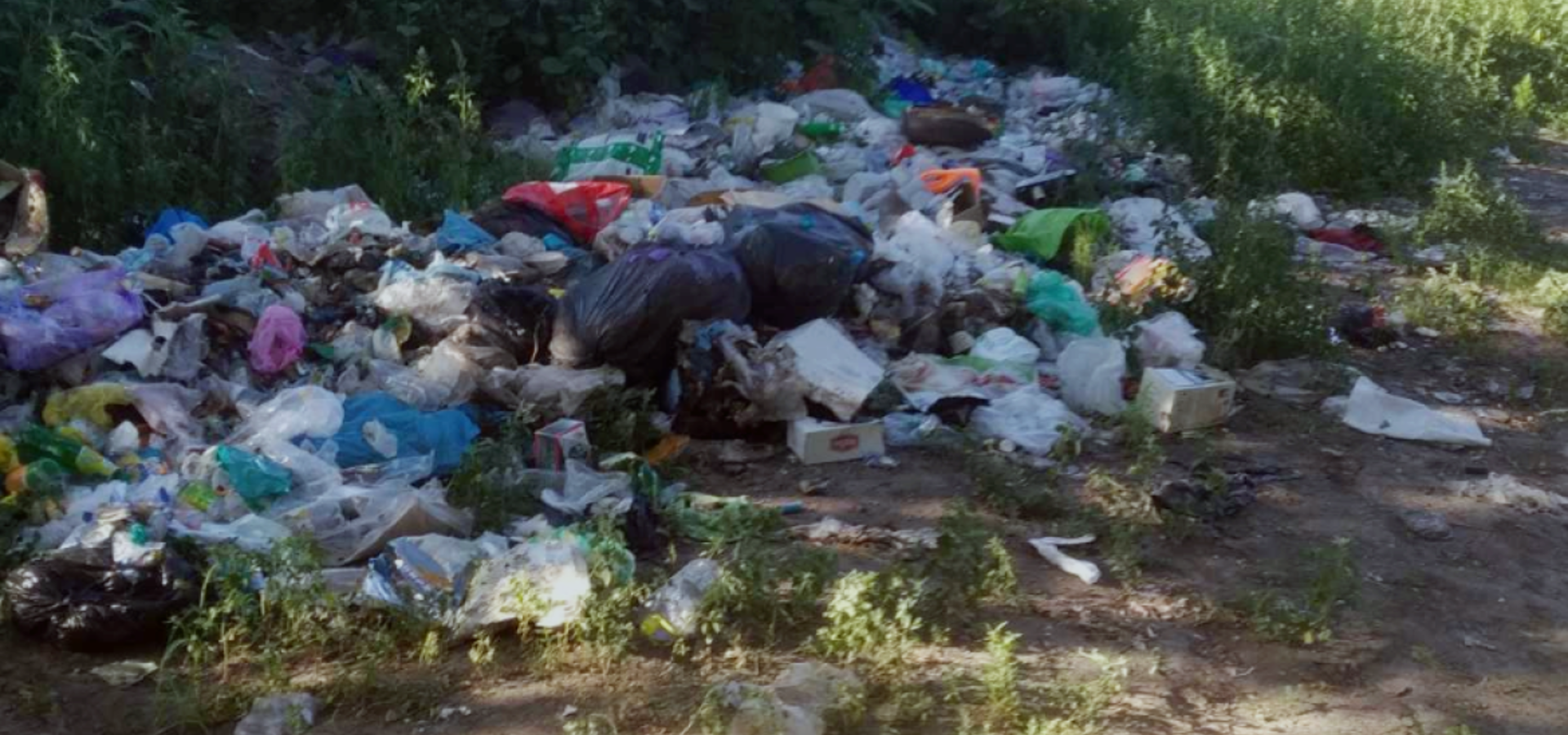 У Хмільницькому районі виявили незаконне звалище