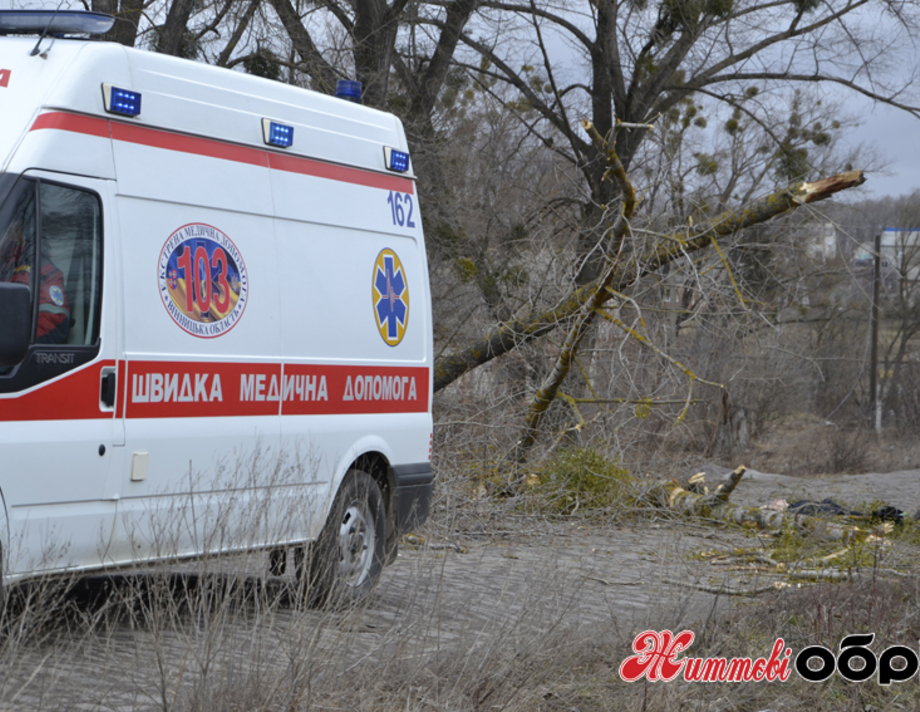 У Хмільнику вирізають дерева, які роками наражали людей на небезпеку