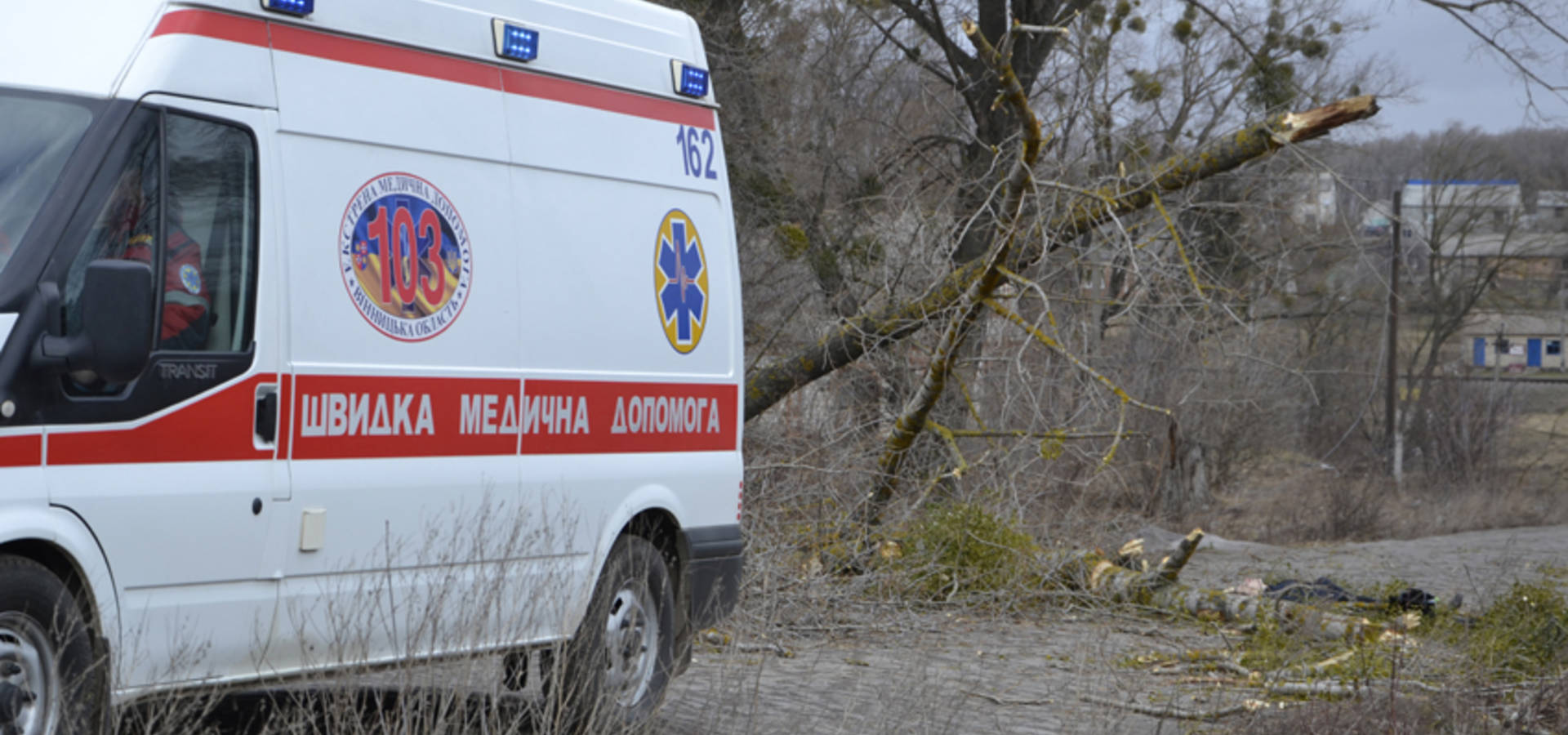 У Хмільнику вирізають дерева, які роками наражали людей на небезпеку