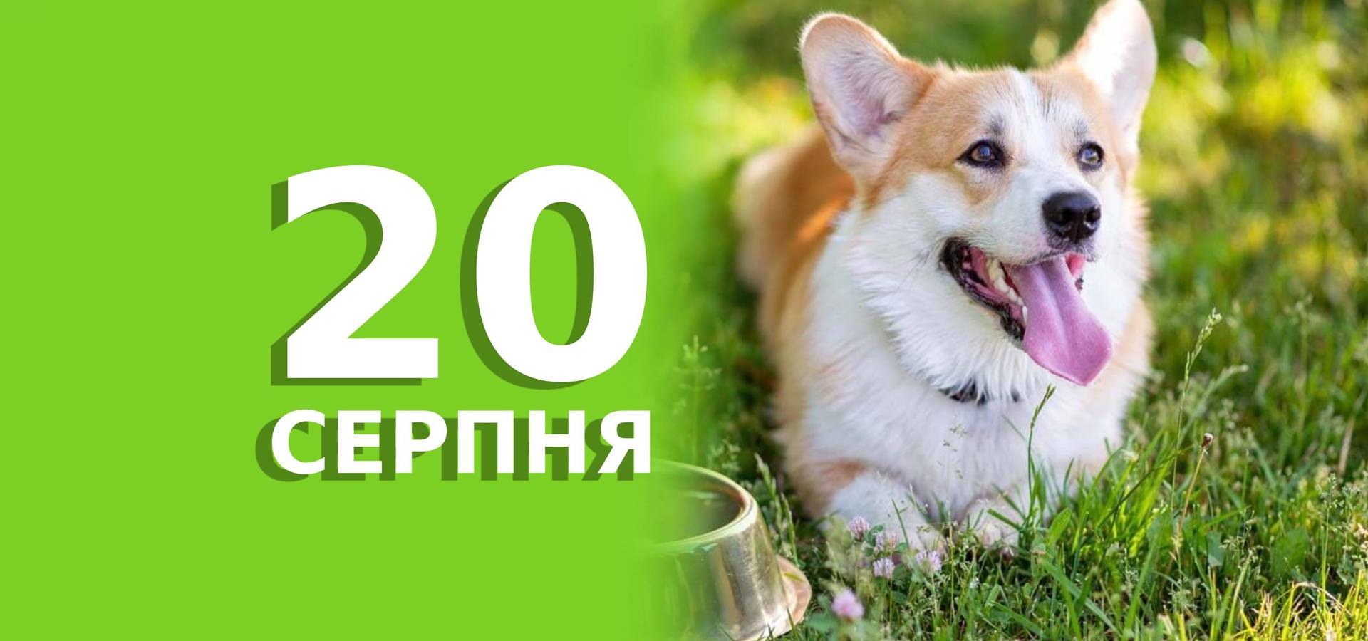 20 серпня. Що відзначають в цей день