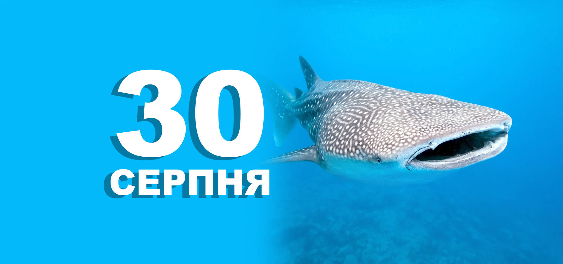 30 серпня. Що відзначають в цей день