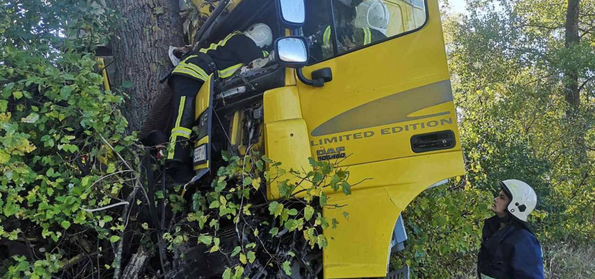 На дорозі Хмільник-Війтівці водій на "DAF" вʼїхав у дерево. Чоловік загинув на місці