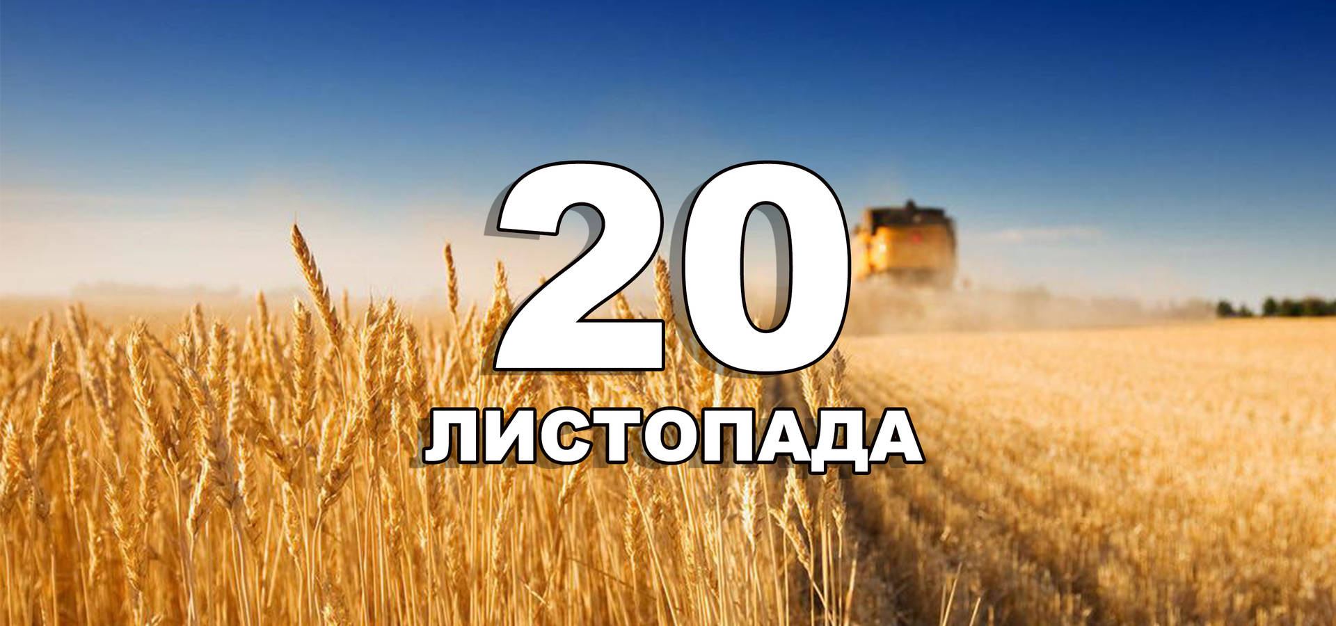 20 листопада. Що відзначають в цей день