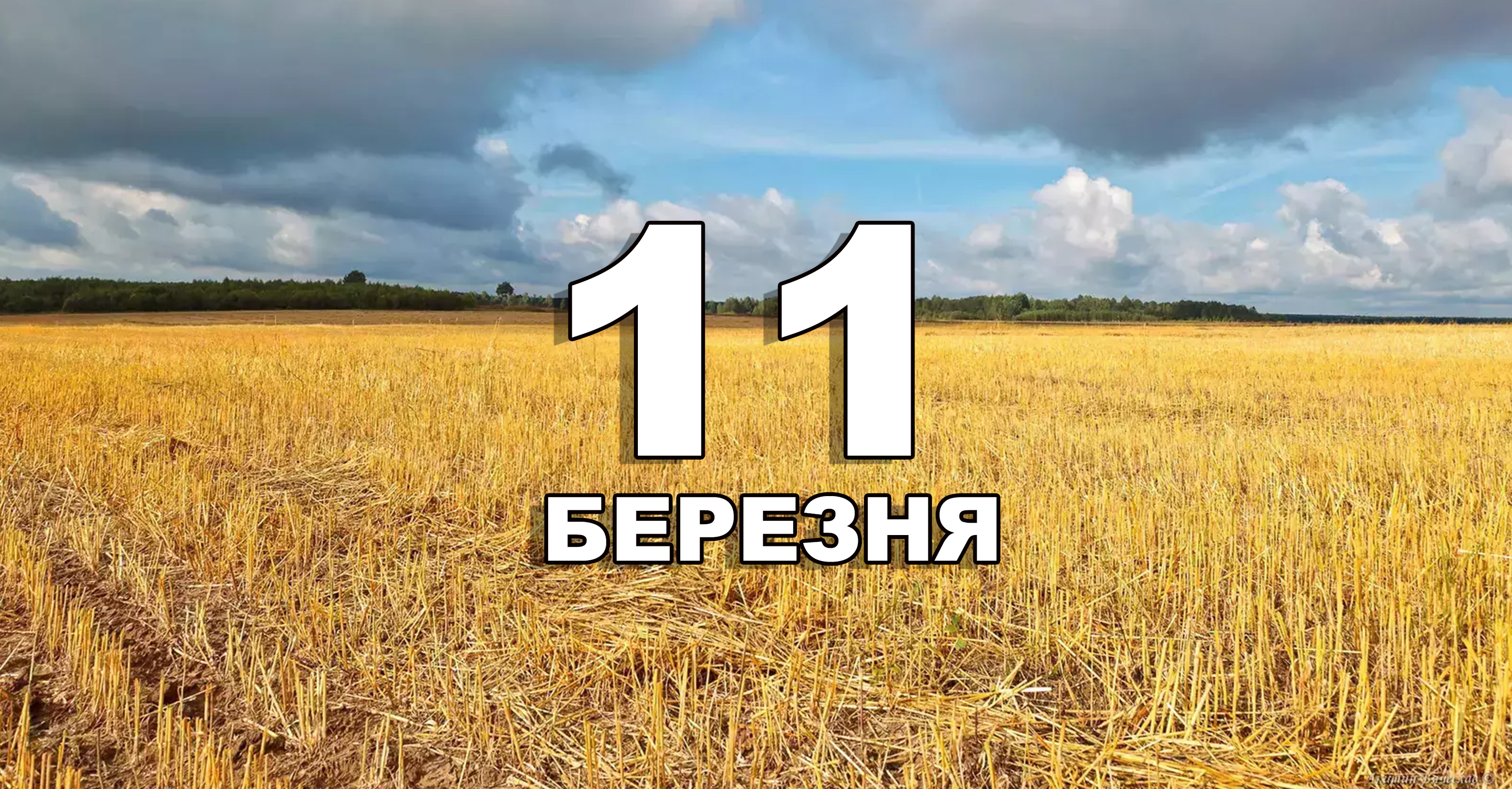 %d0%a8%d0%b0%d0%b1%d0%bb%d0%be%d0%bd %d0%ba%d0%be%d0%bf%d1%96%d1%8f