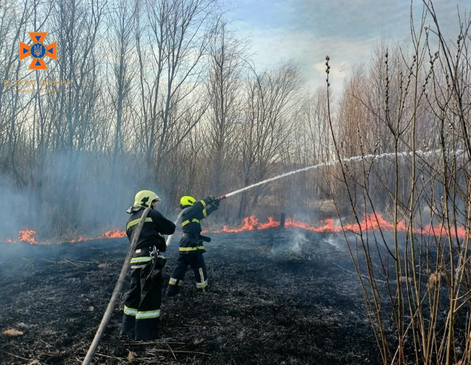 За  добу на Вінниччині виникло 27 загорянь чагарників, очерету та сміття. Палії трави зупиніться!!!