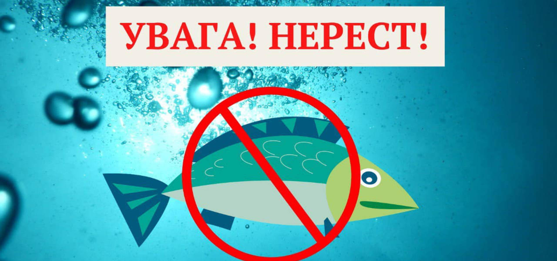 З 1 квітня на Вінниччині діятиме весняно-літня заборона на вилов риби