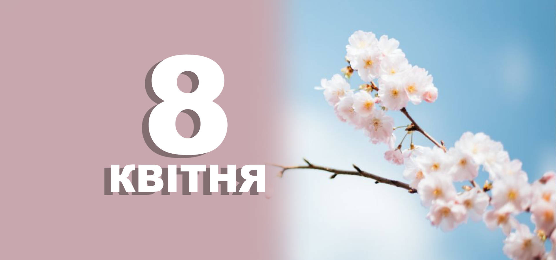 8 квітня. Що відзначають в цей день?