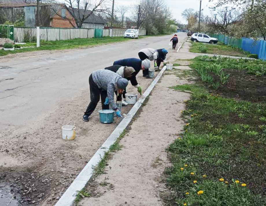 В Качанівці та Семках Війтівецької громади провели толоку