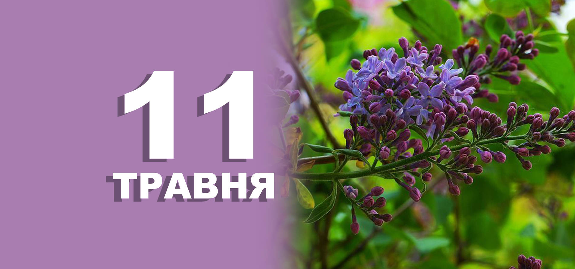 11 травня. Що відзначають в цей день?