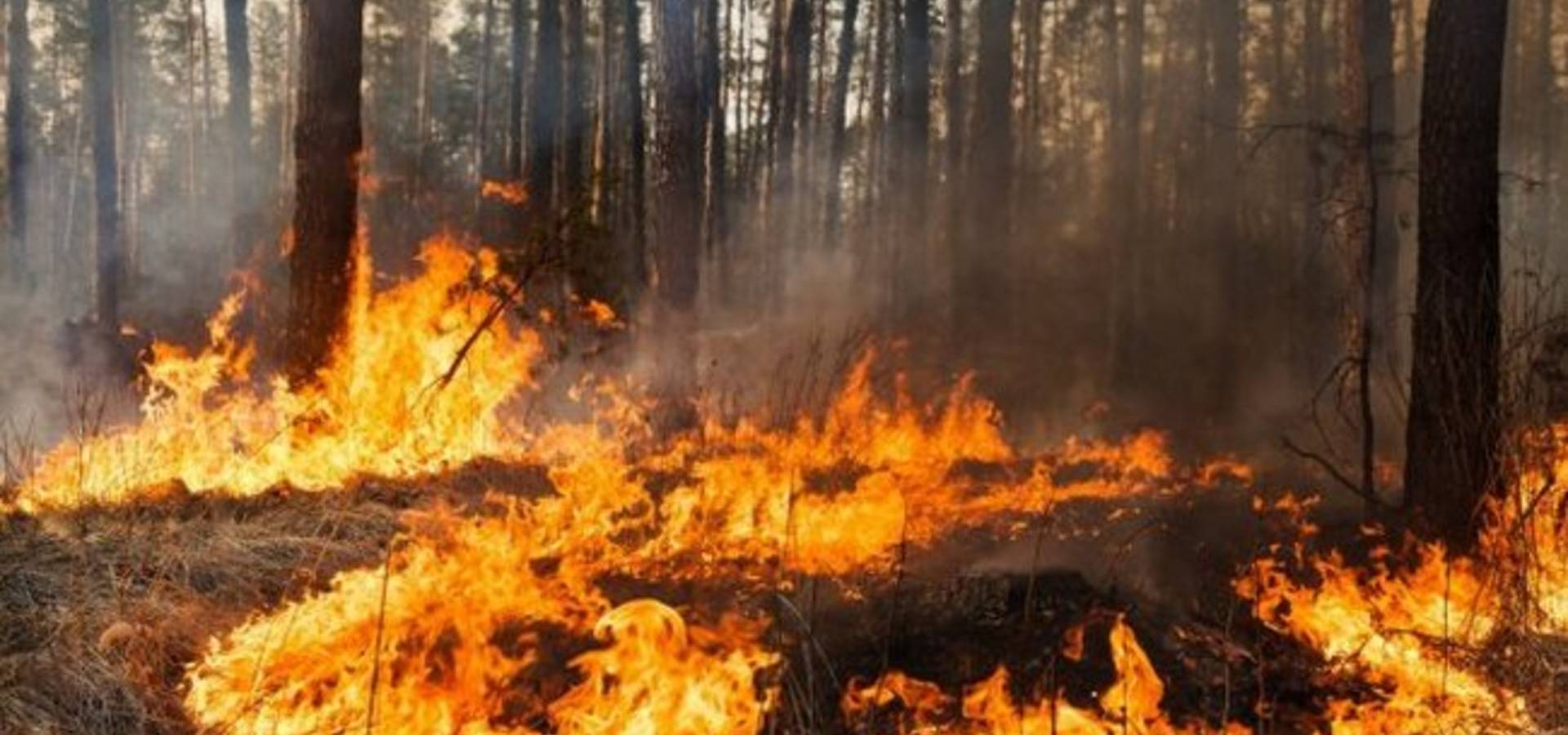 На Вінниччині сталося вісім пожеж протягом дня