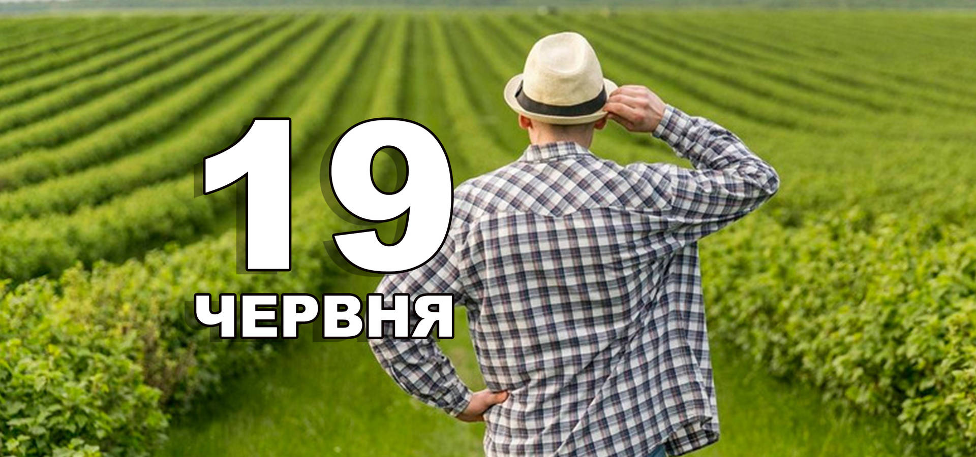 19 червня. Що відзначають в цей день?