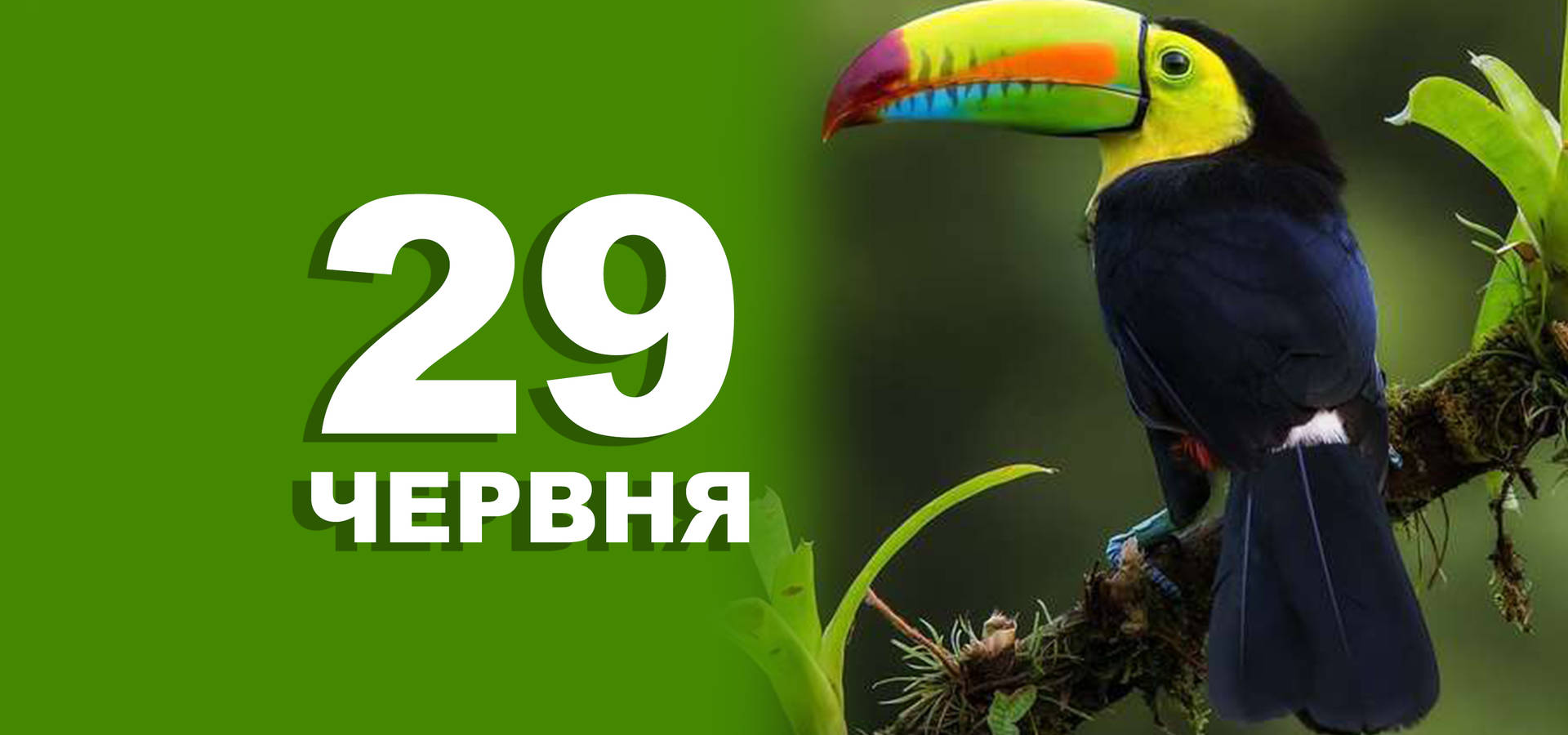 29 червня. Що відзначають в цей день?