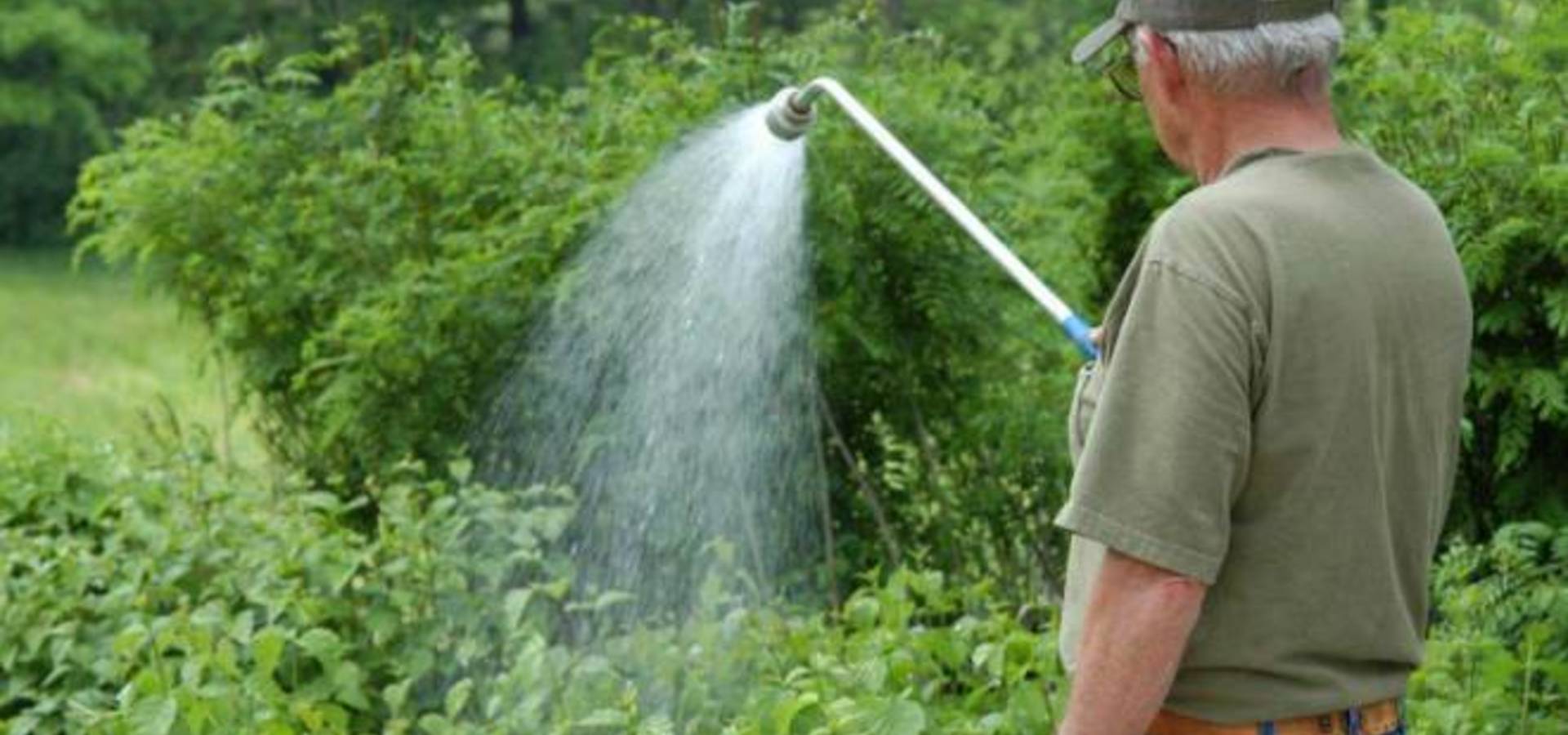 У Хмільнику водоканал закликає людей не використовувати питну воду для поливу газонів, парників, городів...