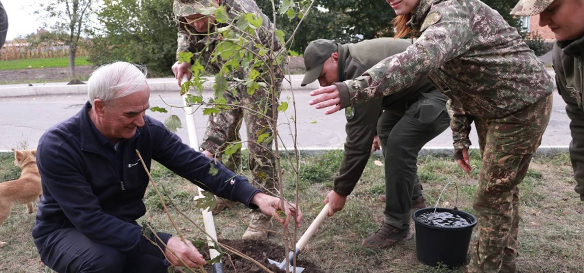 У Хмільницькому районі висадили калинову алею в пам’ять про воїнів бригади «Червона Калина»