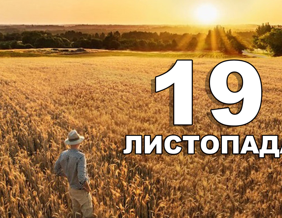 19 листопада. Що відзначають в цей день?