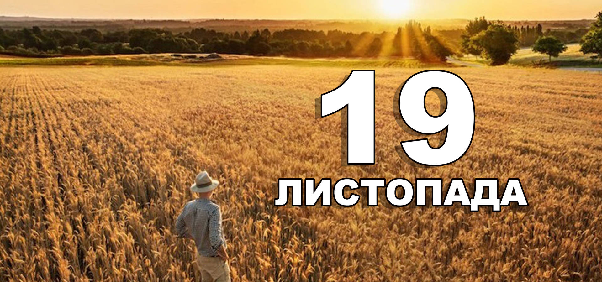 19 листопада. Що відзначають в цей день?