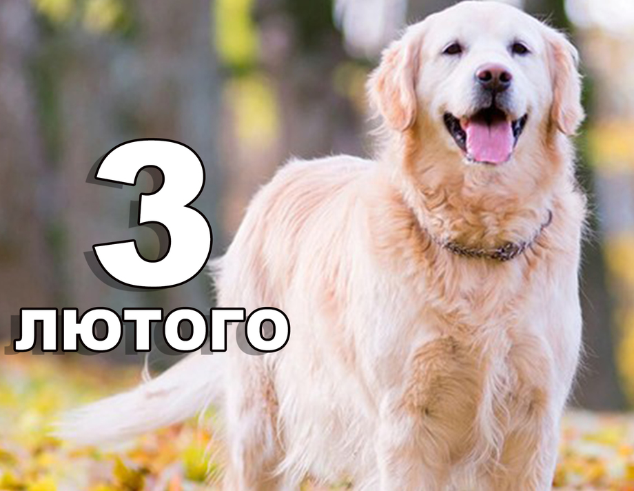 3 лютого. Що відзначають в цей день?