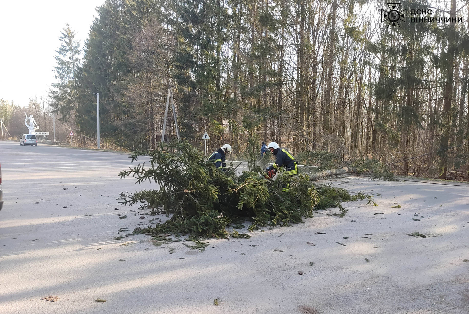 У Хмільнику вітер звалив на дорогу дерево