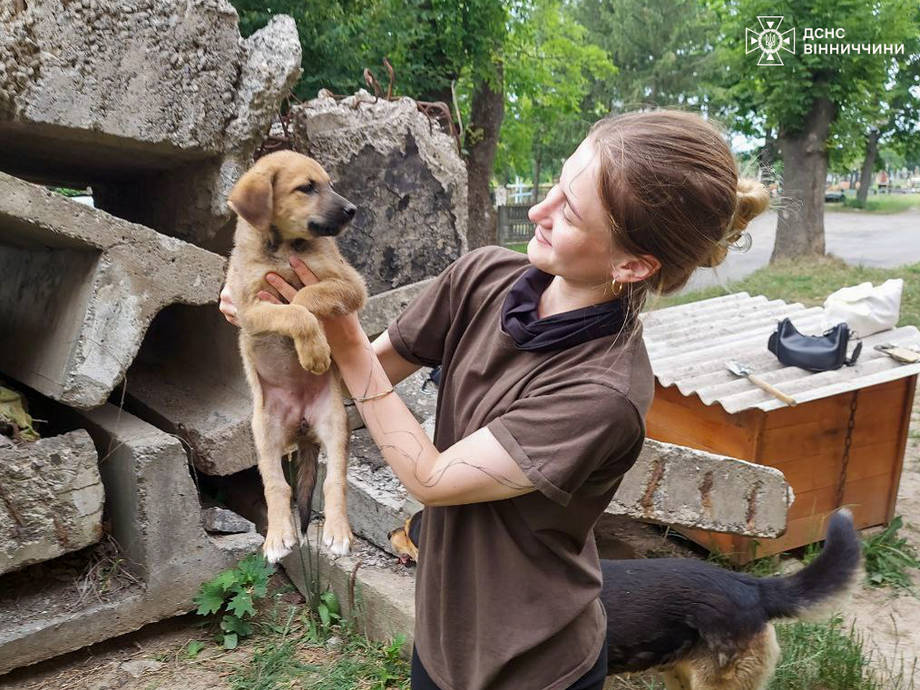 На Вінниччині рятувальники дістали з-під бетонних плит цуценя