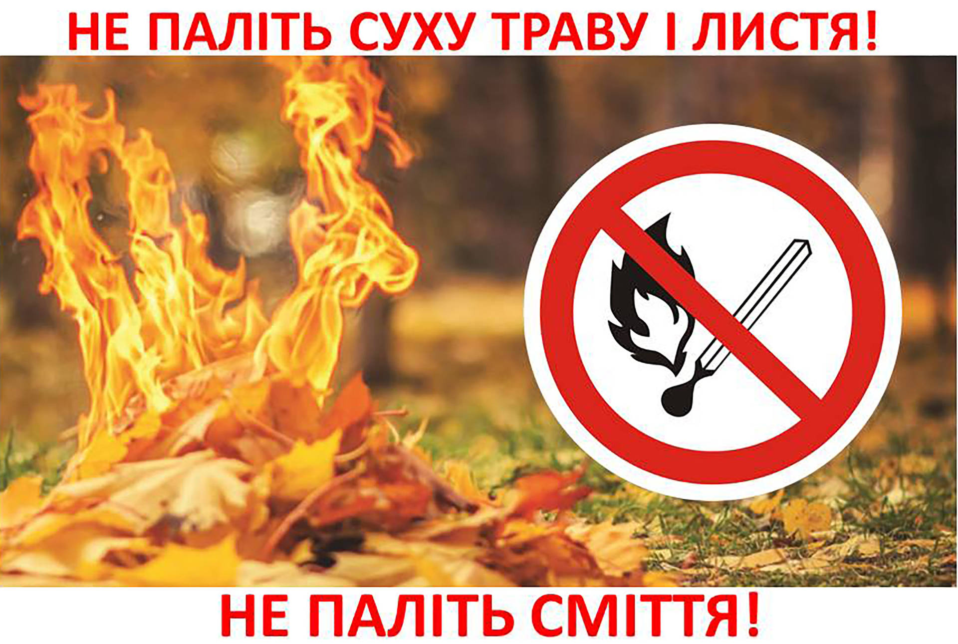 Хмільничани, не паліть суху траву - не вбивайте життя!