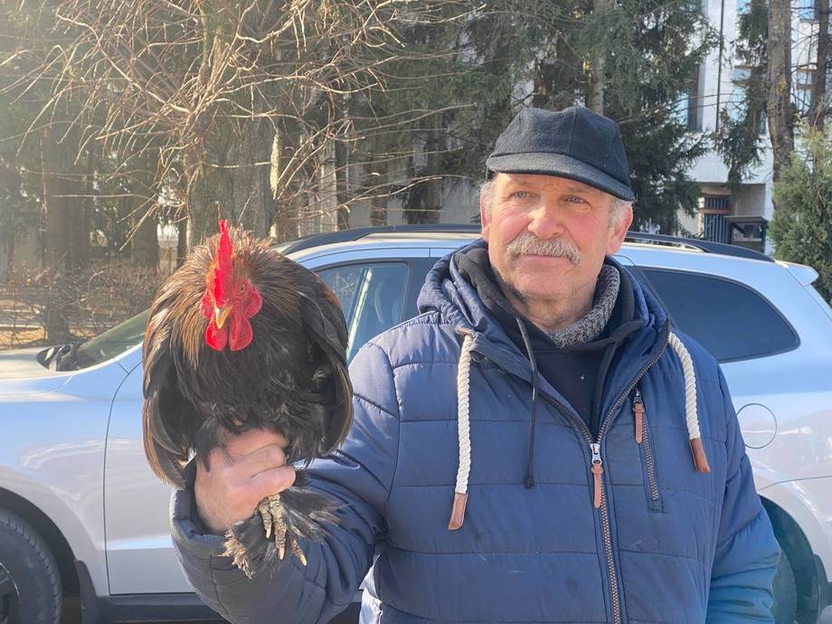 У Хмільнику проходить виставка-ярмарок кролів, голубів та домашньої птиці