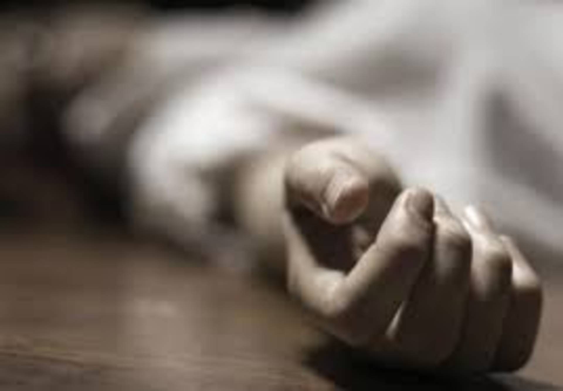 У селі Качанівка Війтівецької громади жінка знайшла на дорозі мертвого односельця