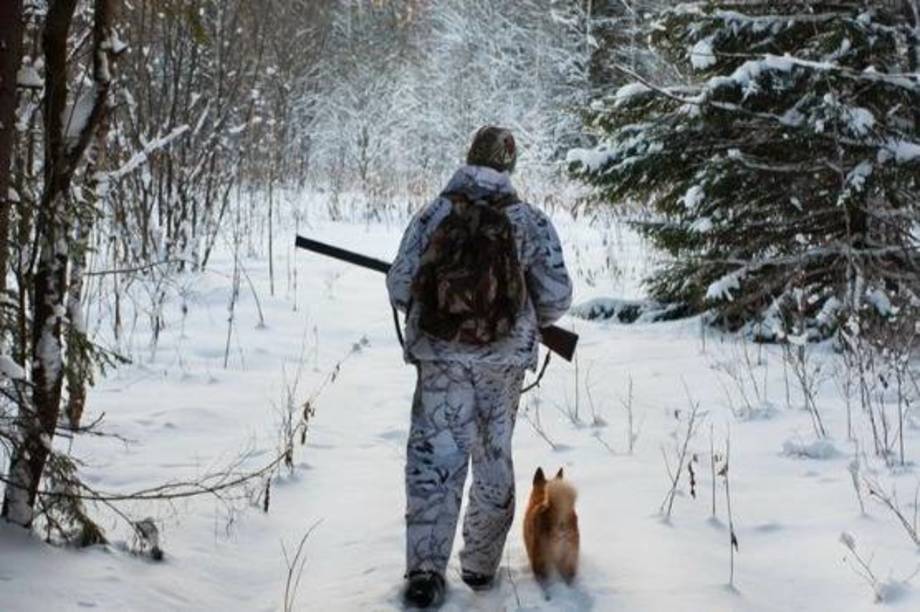 У мисливських угіддях Хмільницького лісництва проведуть полювання на диких парнокопитних та хижих м’ясоїдних тварин