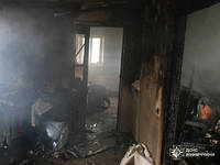 Під час пожежі в Хмільницькому районі загинуло подружжя пенсіонерів 