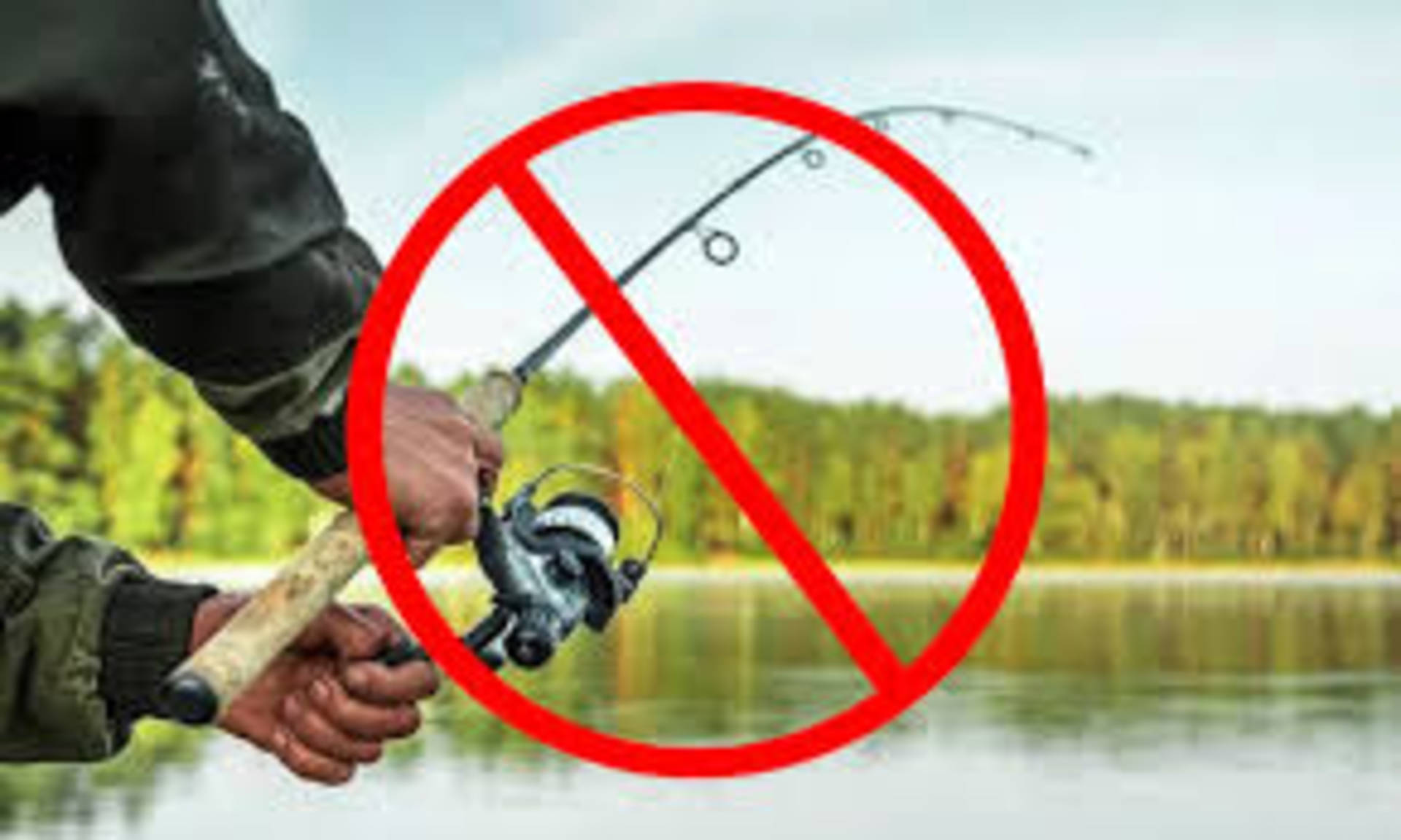 Відсьогодні на Вінниччині починають діяти нерестові обмеження на вилов водних біоресурсів