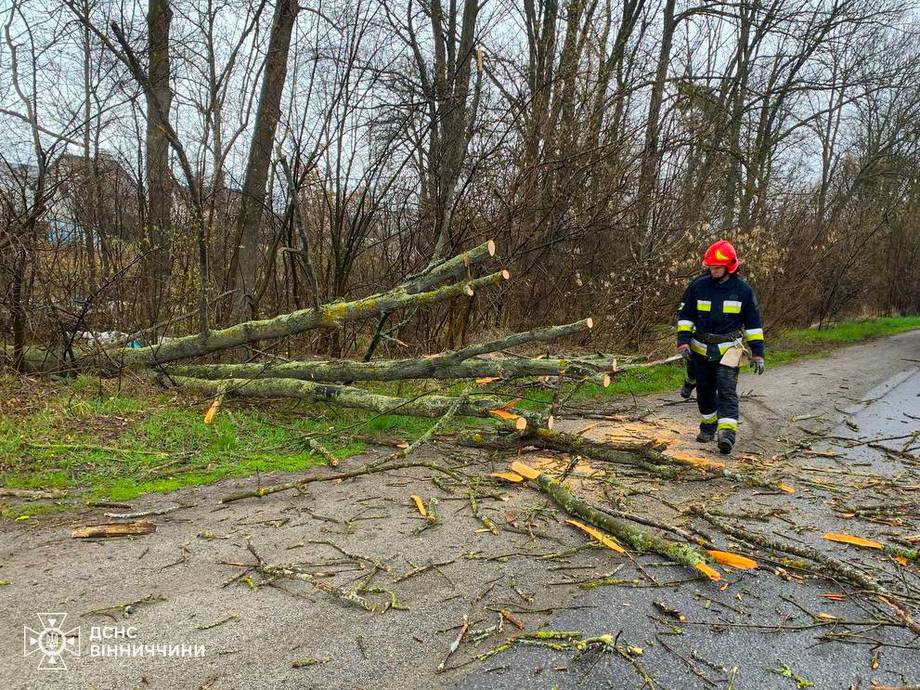 У Хмільницькому районі рятувальники розчищали дороги від повалених вітром дерев