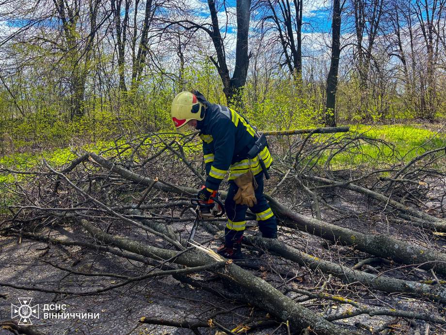 У Хмільницькому районі рятувальники розчищали дороги від повалених вітром дерев