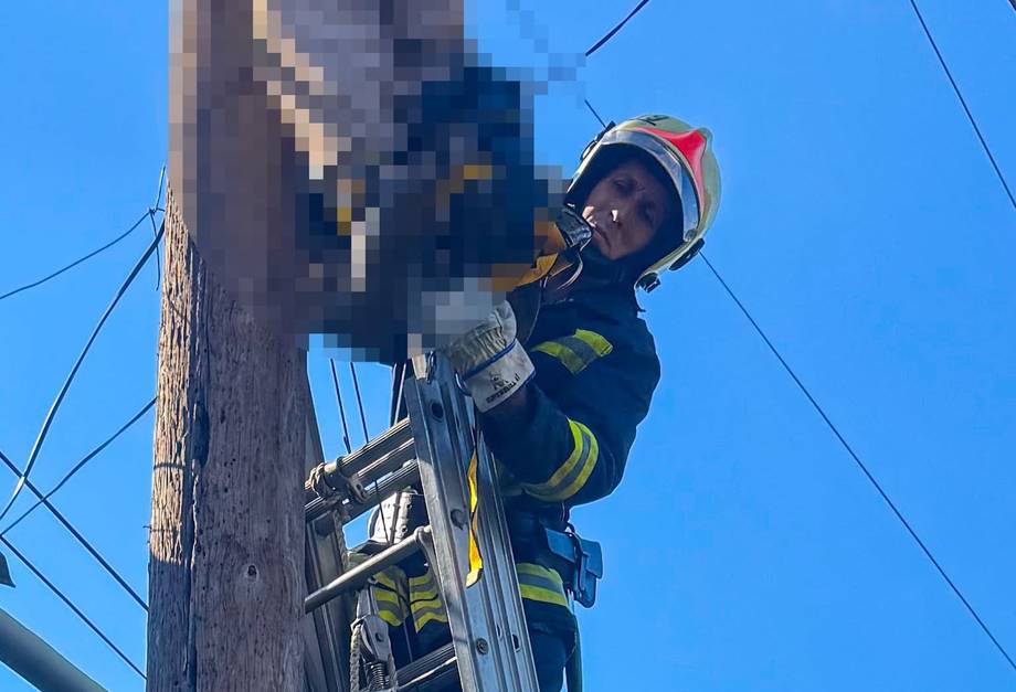 У Хмільницькому районі пенсіонера вбило струмом